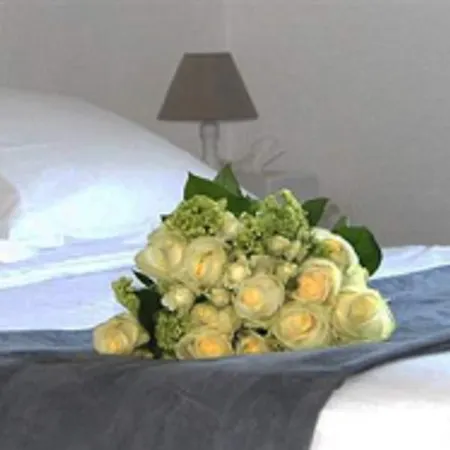 Otel Ruc 4*